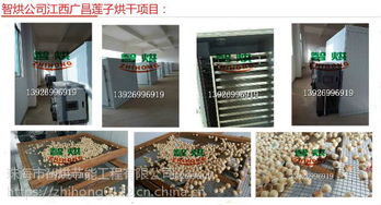 空氣能熱泵蓮子干燥機 智烘護航，解鎖蓮子與茶葉高品質干燥新境界