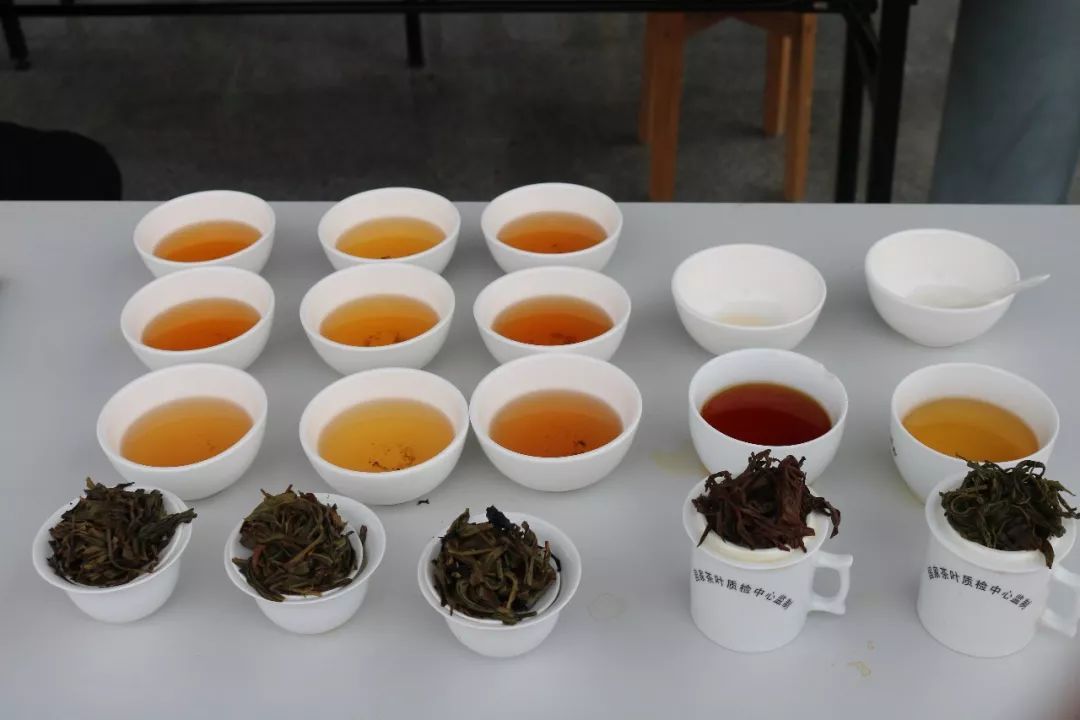 首屆廣東省評(píng)茶員技能大賽圓滿落幕，東方國(guó)際茶都飄香引才